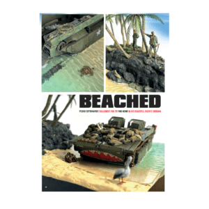 AFV149 - Beached (Copy)